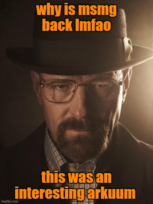Walter White | why is msmg back lmfao; this was an interesting arkuum | image tagged in walter white | made w/ Imgflip meme maker