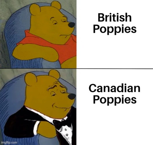 image tagged in memes | made w/ Imgflip meme maker