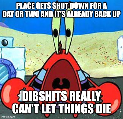 "Place" as in msmg | PLACE GETS SHUT DOWN FOR A DAY OR TWO AND IT'S ALREADY BACK UP; DIBSHITS REALLY CAN'T LET THINGS DIE | image tagged in mr krabs wide mouth | made w/ Imgflip meme maker