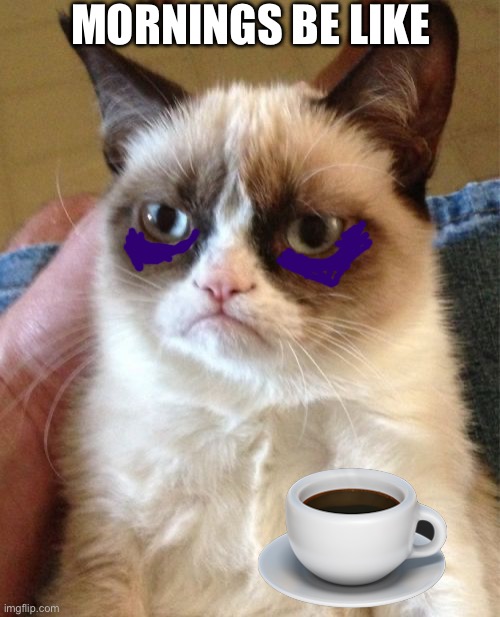 Grumpy Cat | MORNINGS BE LIKE | image tagged in memes,grumpy cat | made w/ Imgflip meme maker