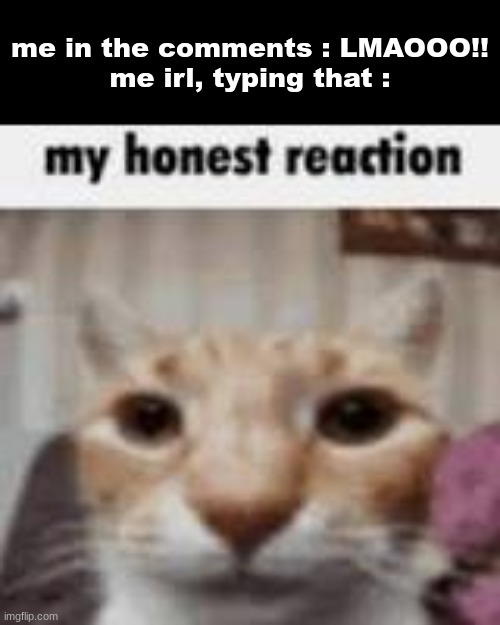 meirl | me in the comments : LMAOOO!!
me irl, typing that : | image tagged in shut up and take my money fry | made w/ Imgflip meme maker