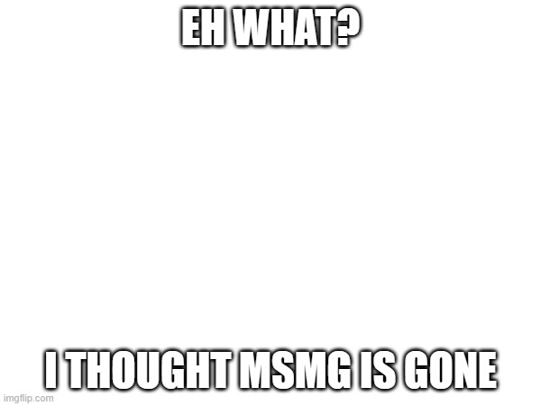Can someone explain whats going on? | EH WHAT? I THOUGHT MSMG IS GONE | image tagged in msmg | made w/ Imgflip meme maker