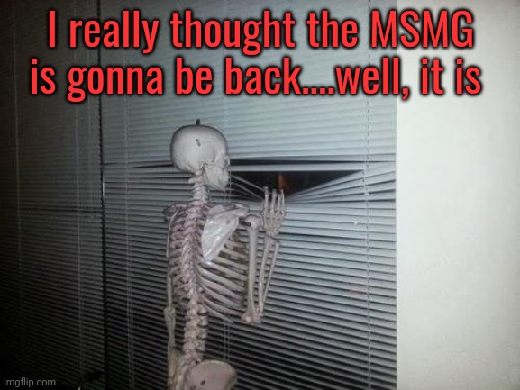 Skeleton Looking Out Window | I really thought the MSMG is gonna be back....well, it is | image tagged in skeleton looking out window | made w/ Imgflip meme maker