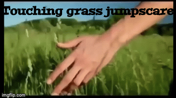 XD MEME /// ORIGINAL BY ZZEFF /// touch grass meme on Make a GIF