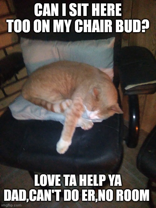 Gandolph the white | CAN I SIT HERE TOO ON MY CHAIR BUD? LOVE TA HELP YA DAD,CAN'T DO ER,NO ROOM | image tagged in gandolph the white | made w/ Imgflip meme maker