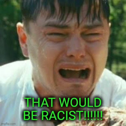 Crybaby Liberal Leonardo | THAT WOULD BE RACIST!!!!!! | image tagged in crybaby liberal leonardo | made w/ Imgflip meme maker