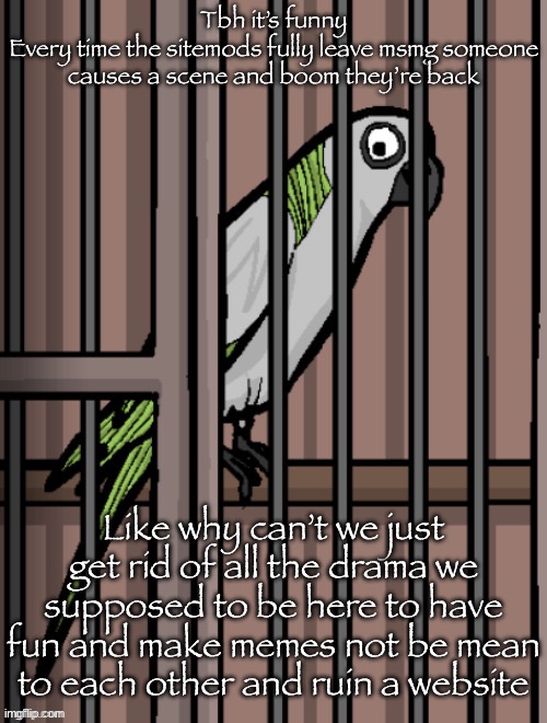 Bird on crack | Tbh it’s funny
Every time the sitemods fully leave msmg someone causes a scene and boom they’re back; Like why can’t we just get rid of all the drama we supposed to be here to have fun and make memes not be mean to each other and ruin a website | image tagged in bird on crack | made w/ Imgflip meme maker