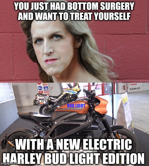 bottom surgery | YOU JUST HAD BOTTOM SURGERY AND WANT TO TREAT YOURSELF; ICEMULE; BUD LIGHT; WITH A NEW ELECTRIC HARLEY BUD LIGHT EDITION | image tagged in beer | made w/ Imgflip meme maker