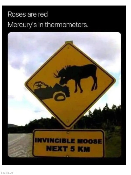 I'm getting concerned... | image tagged in funny,moose,meme,why are you reading the tags | made w/ Imgflip meme maker