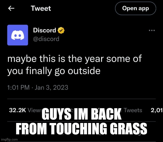 I have video proof | GUYS IM BACK FROM TOUCHING GRASS | image tagged in discord outside | made w/ Imgflip meme maker