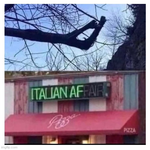 that tree be italian af | image tagged in funny,italian,tree,meme,why are you reading the tags,you have been eternally cursed for reading the tags | made w/ Imgflip meme maker