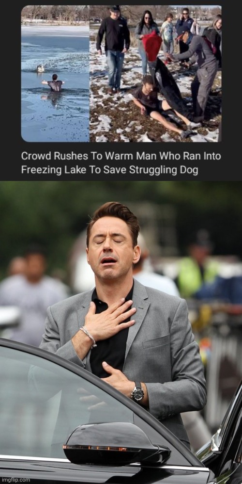 Truly warming | image tagged in relief,warm,dog,memes,freezing,lake | made w/ Imgflip meme maker