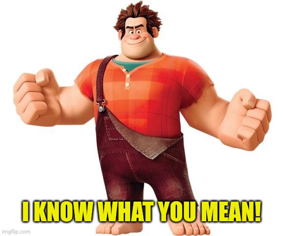 Wreck it Ralph | I KNOW WHAT YOU MEAN! | image tagged in wreck it ralph | made w/ Imgflip meme maker