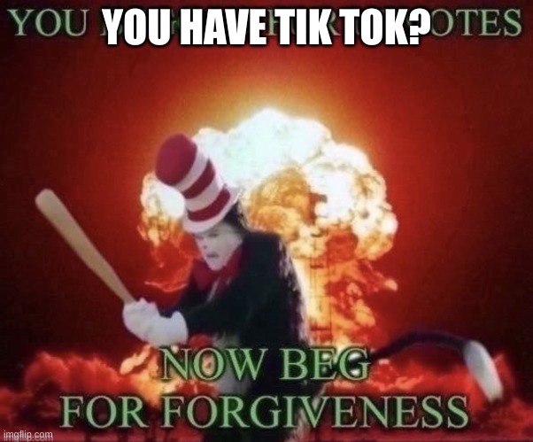 Beg for forgiveness | YOU HAVE TIK TOK? | image tagged in beg for forgiveness | made w/ Imgflip meme maker