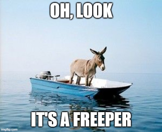 DONKEY ON A BOAT | OH, LOOK; IT'S A FREEPER | image tagged in donkey on a boat | made w/ Imgflip meme maker