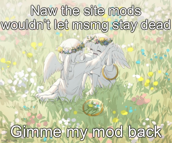 Avogado6 | Naw the site mods wouldn’t let msmg stay dead; Gimme my mod back | image tagged in avogado6 | made w/ Imgflip meme maker