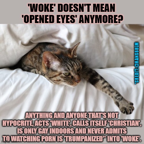 This #lolcat wonders why 'woke' doesn't mean 'opened eyes' anymore and what is does mean. | 'WOKE' DOESN'T MEAN 
'OPENED EYES' ANYMORE? *CREDIT: @HANS68LM; ANYTHING AND ANYONE THAT'S NOT HYPOCRITE, ACTS 'WHITE', CALLS ITSELF 'CHRISTIAN', IS ONLY GAY INDOORS AND NEVER ADMITS TO WATCHING P0RN IS 'TRUMPANIZED'* INTO 'WOKE'. | image tagged in lolcat,woke,think about it,conservative hypocrisy,gop hypocrite | made w/ Imgflip meme maker