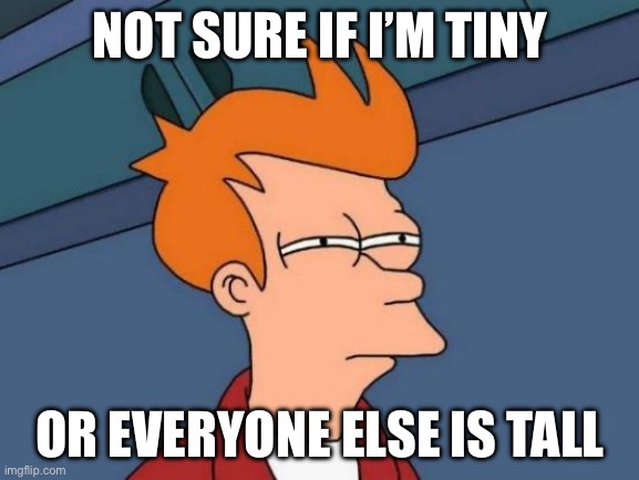 ? hmmmmmmmm | NOT SURE IF I’M TINY; OR EVERYONE ELSE IS TALL | image tagged in memes,futurama fry | made w/ Imgflip meme maker