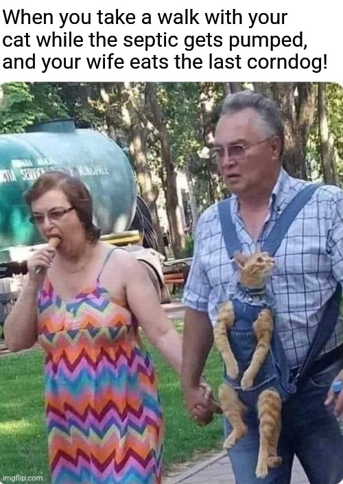 Too much going on here... | When you take a walk with your cat while the septic gets pumped, and your wife eats the last corndog! | image tagged in middle age,white people,cats,corn dogs,septic tank pumping,deep thoughts | made w/ Imgflip meme maker