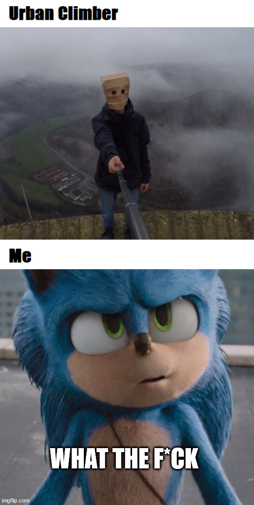 WHAT THE F*CK | image tagged in sonic | made w/ Imgflip meme maker