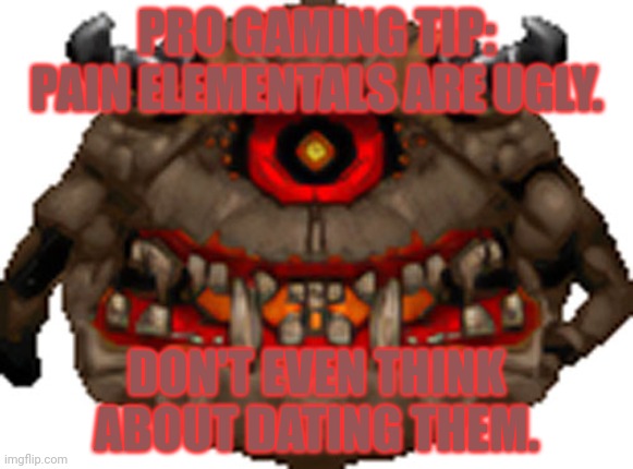 PRO GAMING TIP: PAIN ELEMENTALS ARE UGLY. DON'T EVEN THINK ABOUT DATING THEM. | made w/ Imgflip meme maker