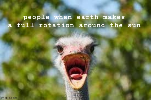 happens every year | people when earth makes a full rotation around the sun | image tagged in yelling ostrich,ahhhhh | made w/ Imgflip meme maker