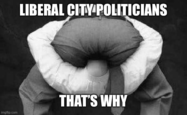 Head up ass  | LIBERAL CITY POLITICIANS THAT’S WHY | image tagged in head up ass | made w/ Imgflip meme maker