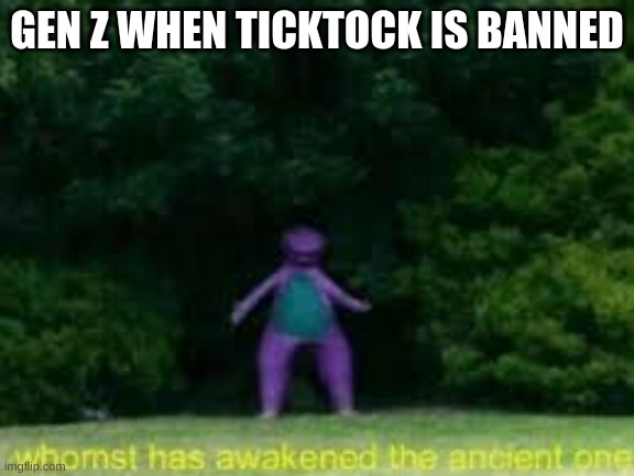 Imgflip better | GEN Z WHEN TICKTOCK IS BANNED | image tagged in whomst has awaken the acient one,memes,barney | made w/ Imgflip meme maker