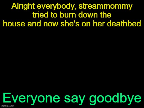 drizzy text temp | Alright everybody, streammommy tried to burn down the house and now she's on her deathbed; Everyone say goodbye | image tagged in drizzy text temp | made w/ Imgflip meme maker