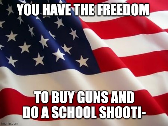 American flag | YOU HAVE THE FREEDOM TO BUY GUNS AND DO A SCHOOL SHOOTI- | image tagged in american flag | made w/ Imgflip meme maker