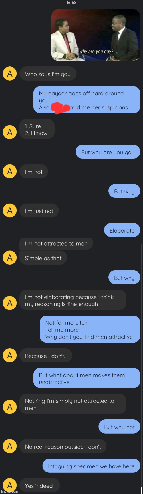 It's so fun annoying the crap out of very straight people asking if they're gay | made w/ Imgflip meme maker
