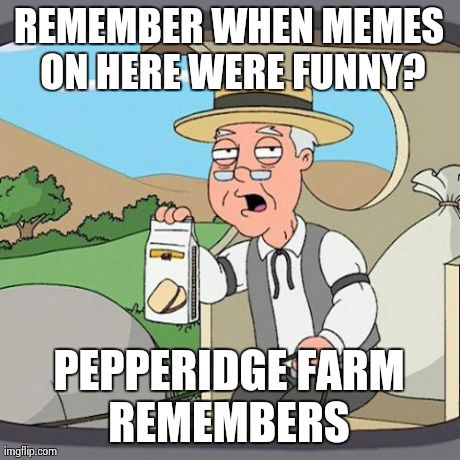 I don't come here as often as I did a few months ago..... | REMEMBER WHEN MEMES ON HERE WERE FUNNY? PEPPERIDGE FARM REMEMBERS | image tagged in memes,pepperidge farm remembers | made w/ Imgflip meme maker