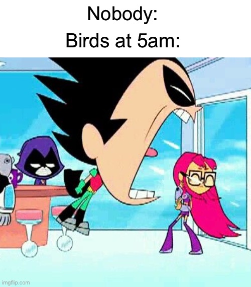 A short, but true meme | Nobody:; Birds at 5am: | image tagged in robin yelling at starfire,memes,funny,true story,birds,summer | made w/ Imgflip meme maker