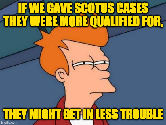 I know, I know.  What cases? | IF WE GAVE SCOTUS CASES
THEY WERE MORE QUALIFIED FOR, THEY MIGHT GET IN LESS TROUBLE | image tagged in memes,futurama fry,scotus,busy work | made w/ Imgflip meme maker