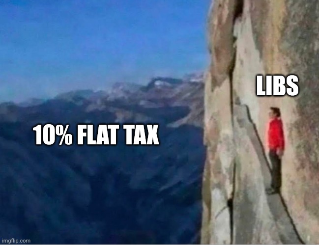 Cliff | LIBS; 10% FLAT TAX | image tagged in cliff,funny memes | made w/ Imgflip meme maker