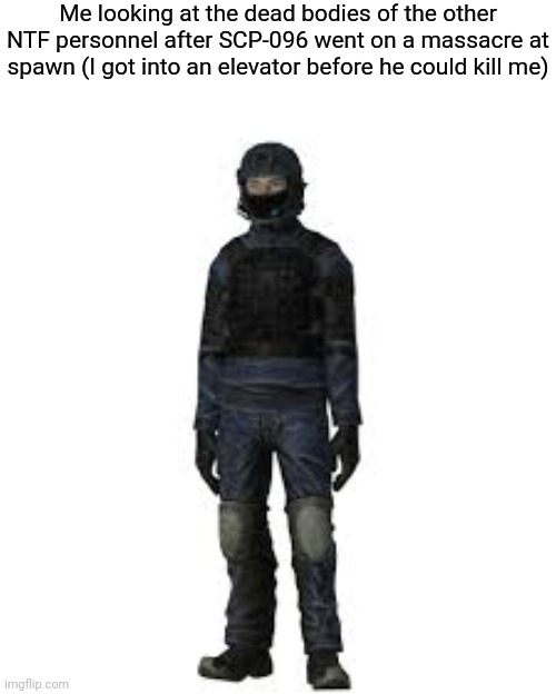the he | Me looking at the dead bodies of the other NTF personnel after SCP-096 went on a massacre at spawn (I got into an elevator before he could kill me) | image tagged in the he | made w/ Imgflip meme maker