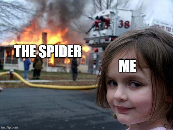 Disaster Girl Meme | ME; THE SPIDER | image tagged in memes,disaster girl | made w/ Imgflip meme maker