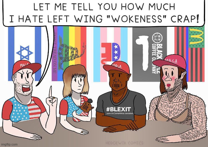 American Conservatives in 2024 | made w/ Imgflip meme maker
