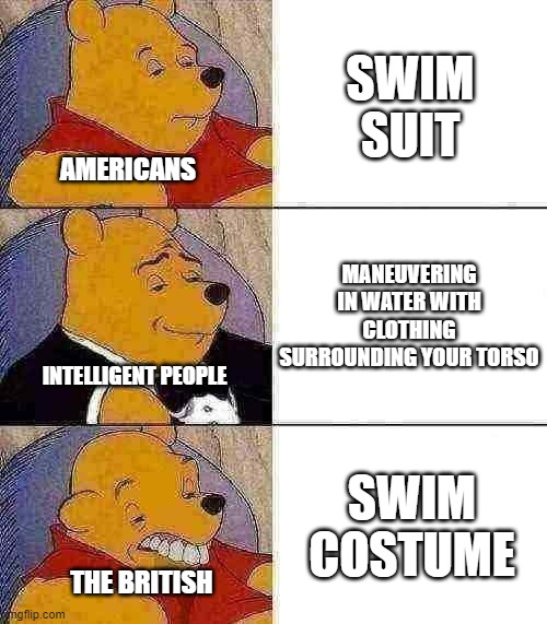 Swim Suit Stuff | SWIM SUIT; AMERICANS; MANEUVERING IN WATER WITH CLOTHING SURROUNDING YOUR TORSO; INTELLIGENT PEOPLE; SWIM COSTUME; THE BRITISH | image tagged in memenade | made w/ Imgflip meme maker