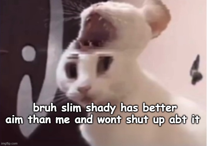 Shocked cat | bruh slim shady has better aim than me and wont shut up abt it | image tagged in shocked cat | made w/ Imgflip meme maker