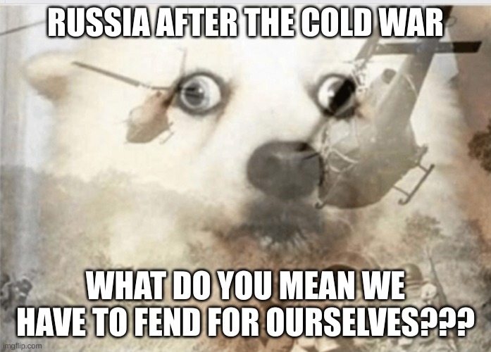 PTSD dog | RUSSIA AFTER THE COLD WAR; WHAT DO YOU MEAN WE HAVE TO FEND FOR OURSELVES??? | image tagged in ptsd dog | made w/ Imgflip meme maker