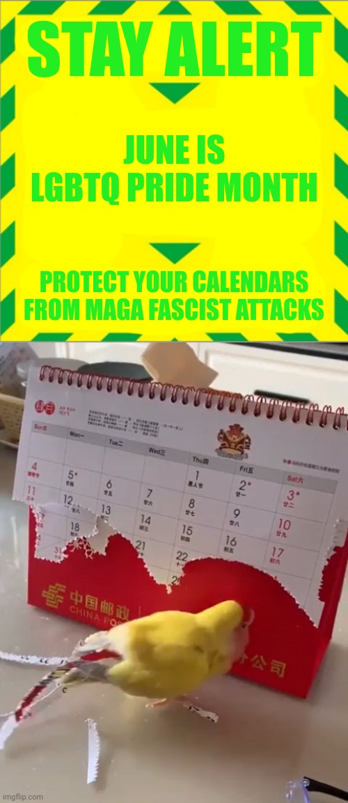 STAY ALERT; JUNE IS
LGBTQ PRIDE MONTH; PROTECT YOUR CALENDARS FROM MAGA FASCIST ATTACKS | image tagged in stupid maga,stupid homophobia,pride month | made w/ Imgflip meme maker