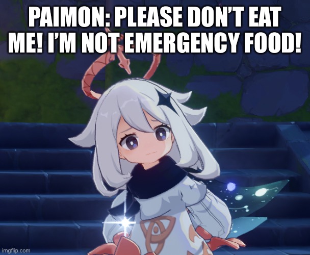 Paimon meets the crew | PAIMON: PLEASE DON’T EAT ME! I’M NOT EMERGENCY FOOD! | image tagged in paimon | made w/ Imgflip meme maker
