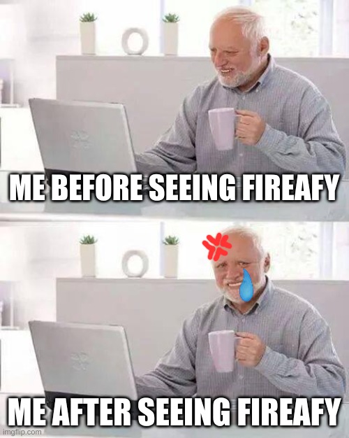 The Unholiness Fireafy | ME BEFORE SEEING FIREAFY; ME AFTER SEEING FIREAFY | image tagged in memes,hide the pain harold,bfdi,bfb | made w/ Imgflip meme maker