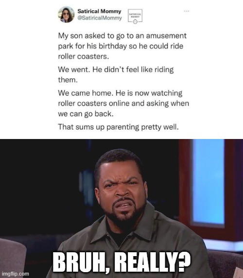 Really? Ice Cube | BRUH, REALLY? | image tagged in really ice cube,kid,amusement park,birthday,parenting | made w/ Imgflip meme maker