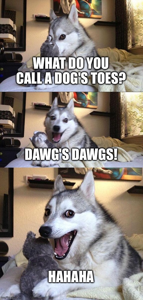 Doggo's doggos | WHAT DO YOU CALL A DOG'S TOES? DAWG'S DAWGS! HAHAHA | image tagged in memes,doggo,joke,foot | made w/ Imgflip meme maker
