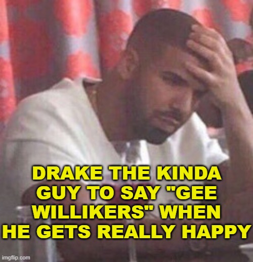 Drake upset | DRAKE THE KINDA GUY TO SAY "GEE WILLIKERS" WHEN HE GETS REALLY HAPPY | image tagged in drake upset | made w/ Imgflip meme maker