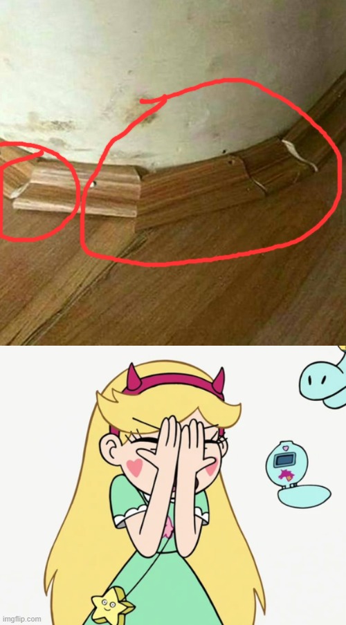 Installed the floor trim boss | image tagged in star butterfly severe facepalm,you had one job,star vs the forces of evil,memes | made w/ Imgflip meme maker