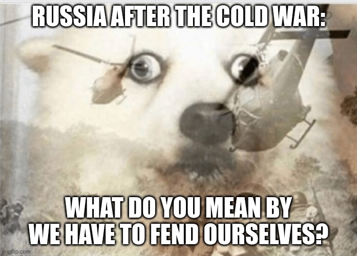 PTSD dog | RUSSIA AFTER THE COLD WAR:; WHAT DO YOU MEAN BY WE HAVE TO FEND OURSELVES? | image tagged in ptsd dog | made w/ Imgflip meme maker