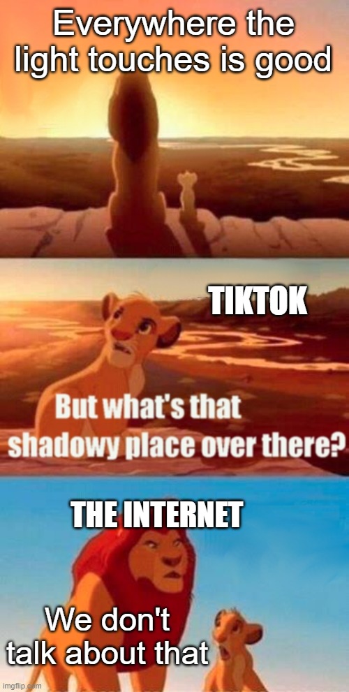 Internet meme | Everywhere the light touches is good; TIKTOK; THE INTERNET; We don't talk about that | image tagged in memes,simba shadowy place | made w/ Imgflip meme maker